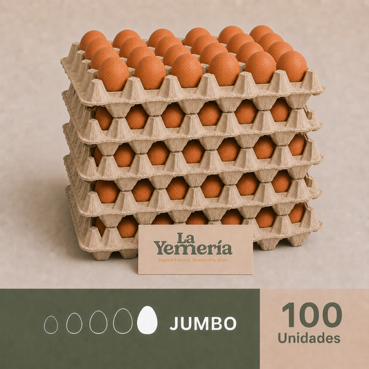 Caja de 100 huevos Jumbo