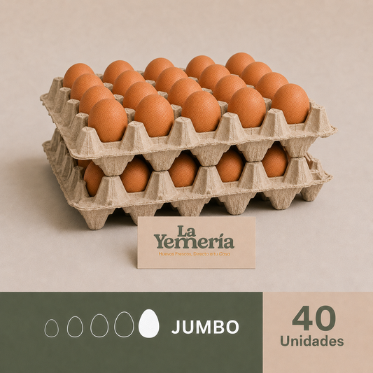 Pack de 40 huevos Jumbo