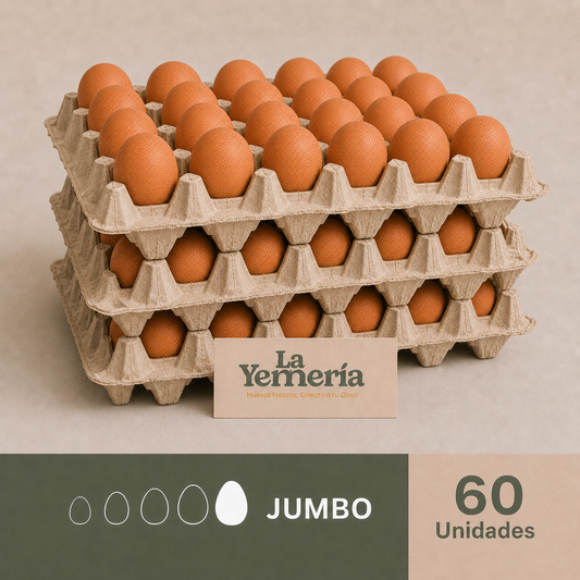 Pack de 60 huevos Jumbo