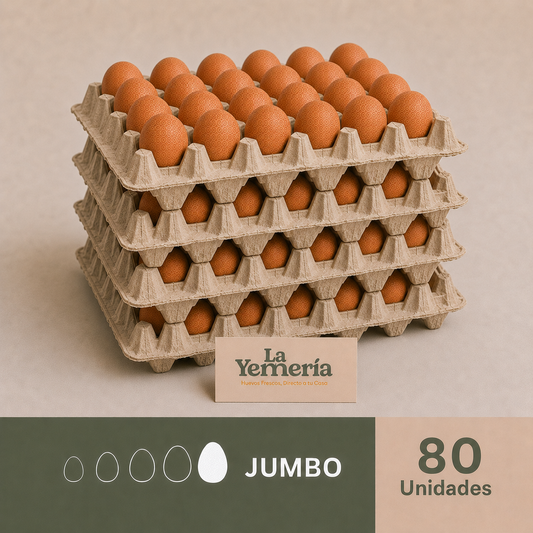 Pack de 80 huevos Jumbo