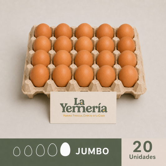 Bandeja de 20 huevos Jumbo